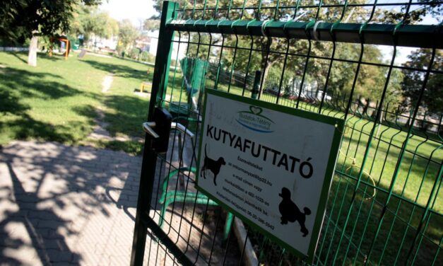 Újabb kutyafuttató épülhet a kerületben